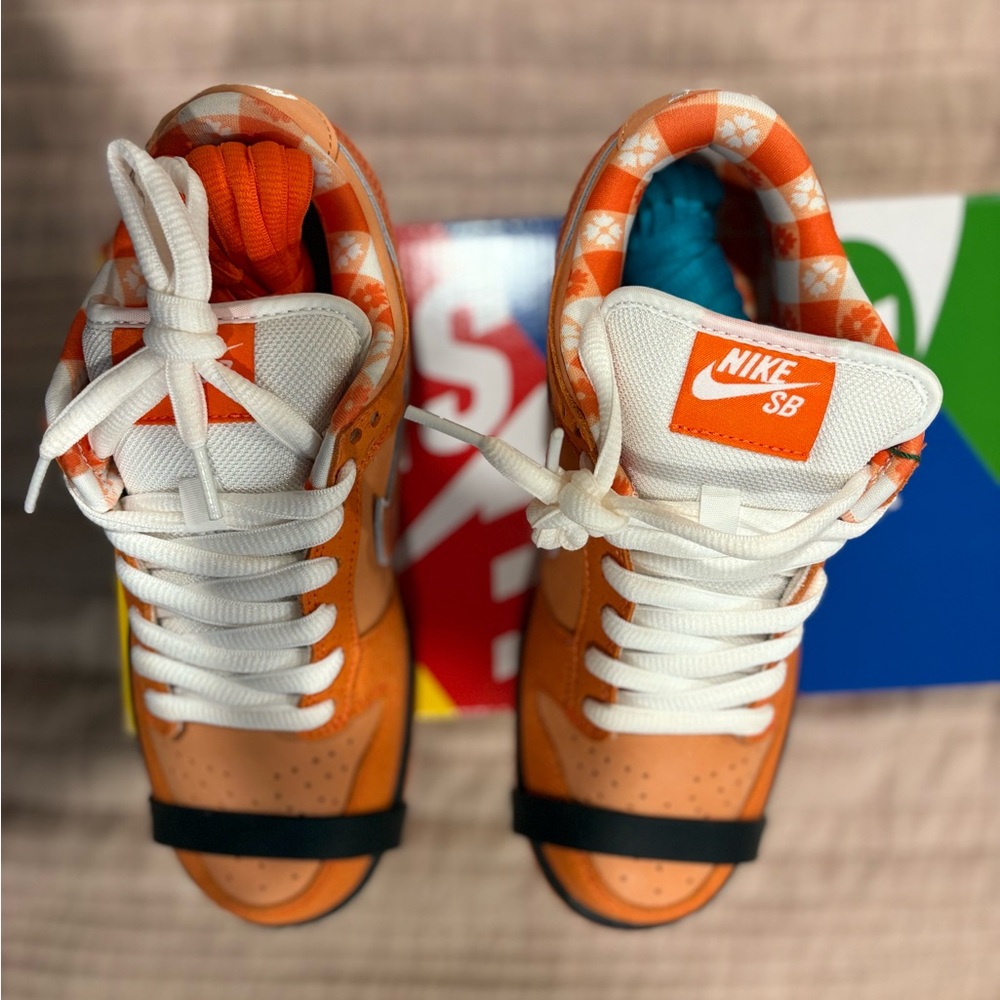 Nike Concepts Orange Lobster SB Dunk Low - Picture 5 of 5